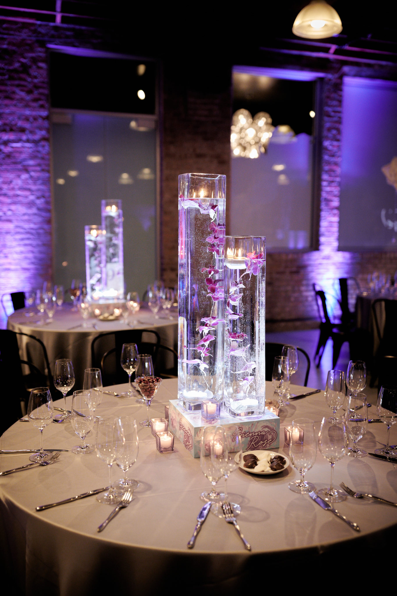 Sienna’s Bat Mitzvah at Anshe Emet and Architectural Events